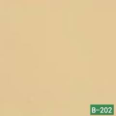 B-202