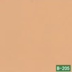 B-205