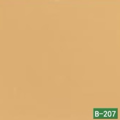 B-207
