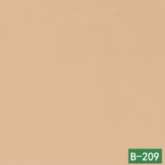 B-209