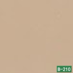 B-210