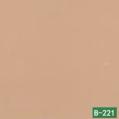 B-221