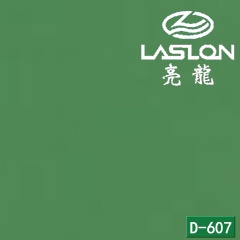 D-607